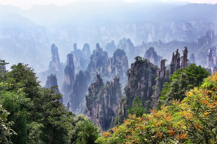Zhangjiajie National Forest Park: Everything You Should Know to Plan the Perfect Trip